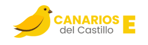 Proyecto de vivienda