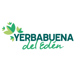 Proyecto de vivienda